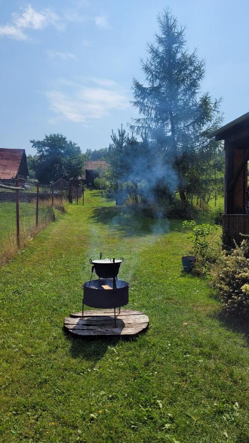 Chalupa Helena na Poráči Exteriér fotografie